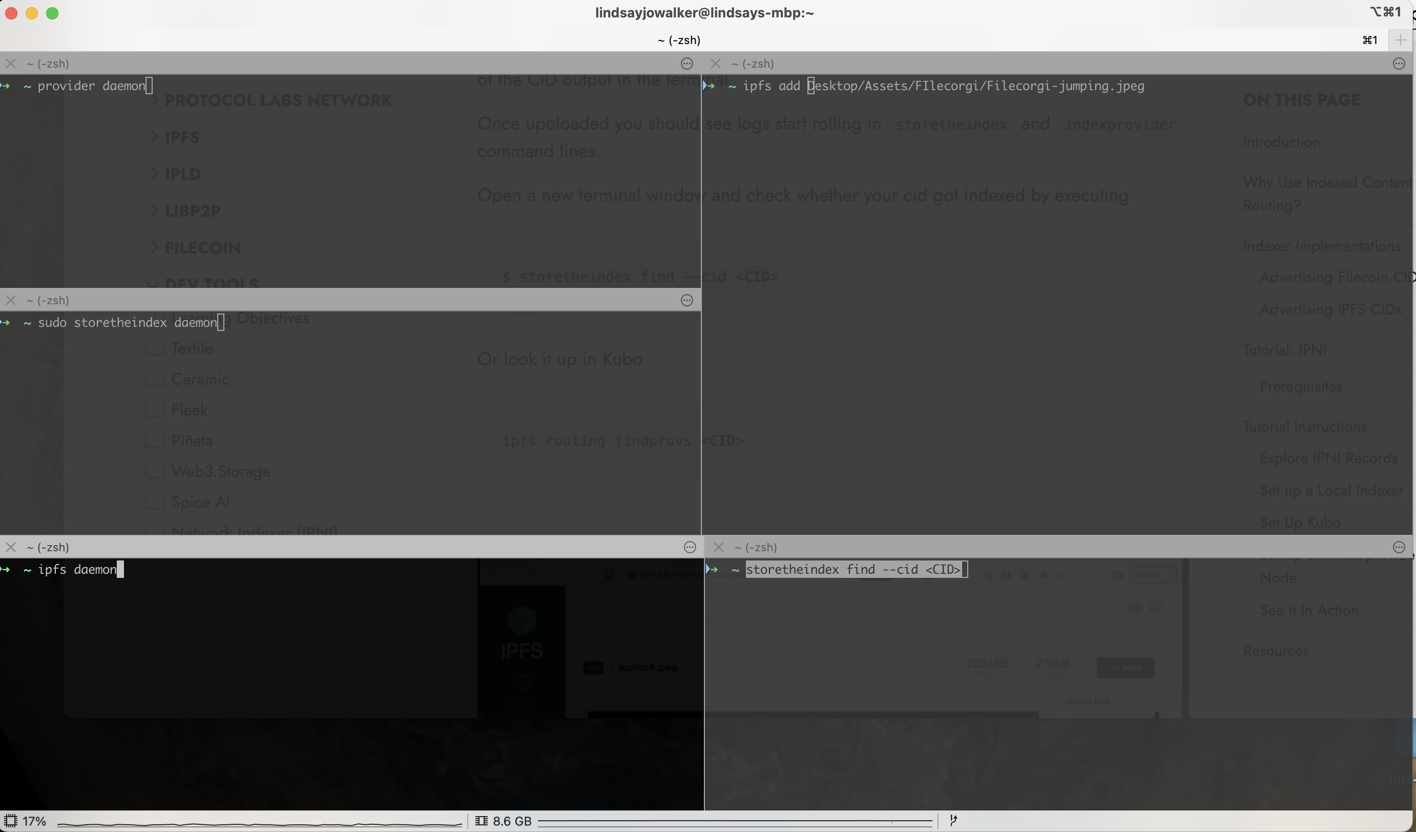 IIPNI Commands