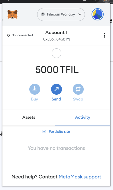 View your funds in MetaMask.